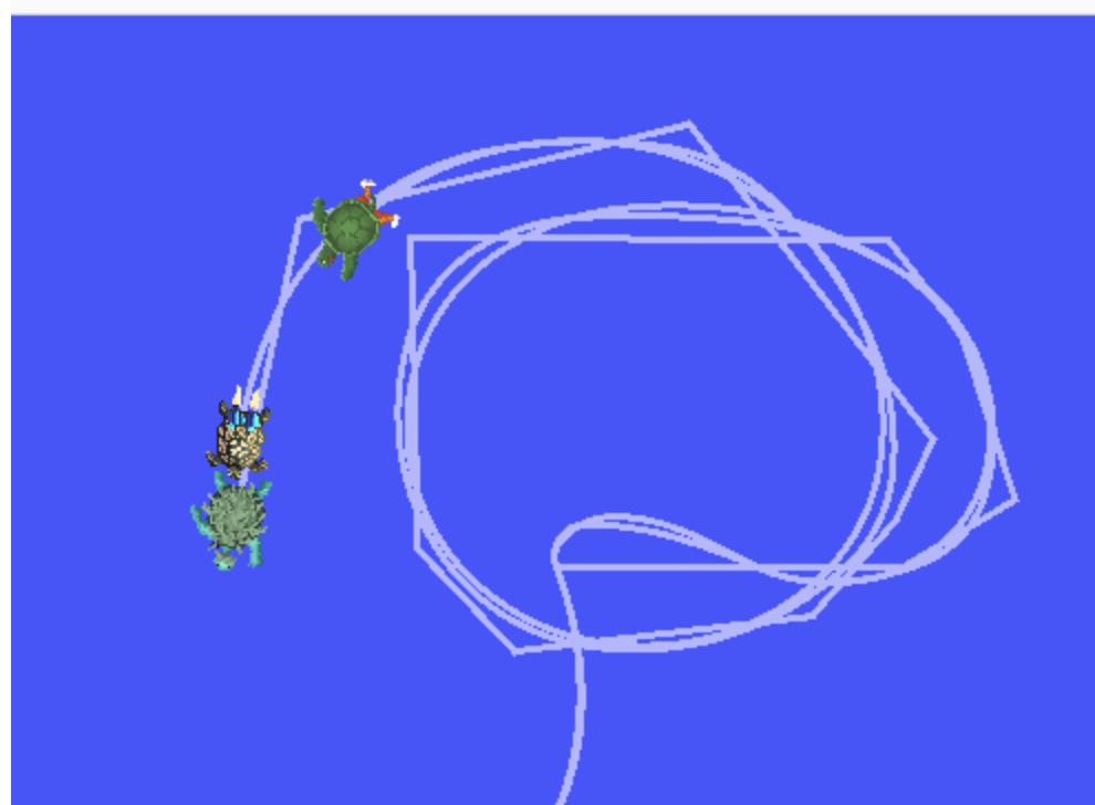 Turtle Party Simulation Project